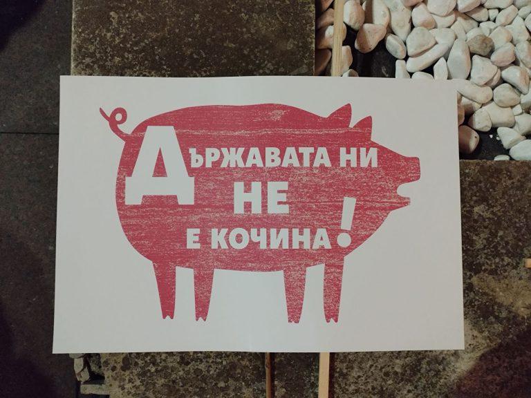 Държавата ни не е кочина!