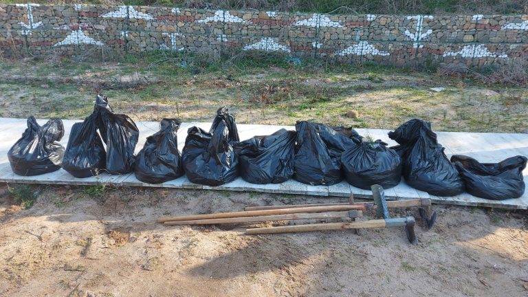 Почистване на тревата от плажа в "Росенец"