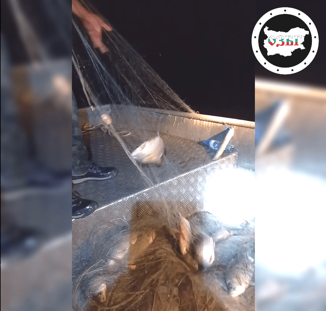 Вадене на бракониерски мрежи