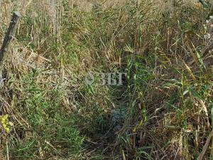 voda6
