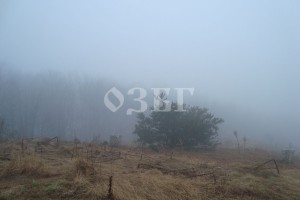 DSC04348