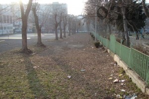 pr00003